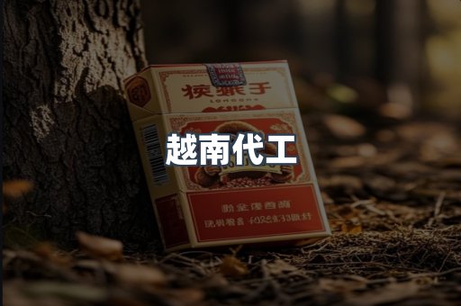 越南代工